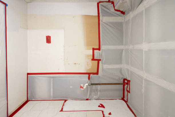Best Mold Documentation for Insurance Claims  in Boerne, TX