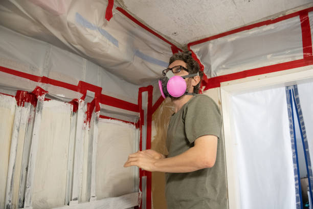 Best Mold-Related Health Consultation  in Boerne, TX