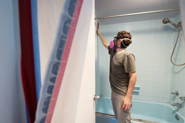 Best Mold Damage Restoration  in Boerne, TX