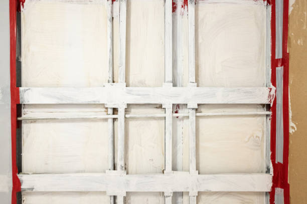 Boerne, TX Mold Removal Company