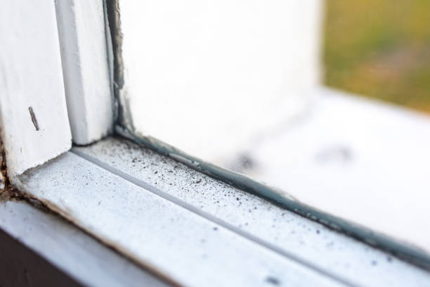 Best HVAC Mold Inspection and Cleaning  in Boerne, TX