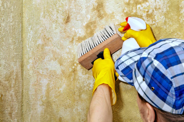 Dehumidification Services