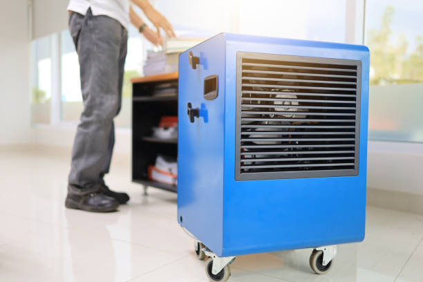 Best Mold Removal for HVAC Installations  in Boerne, TX