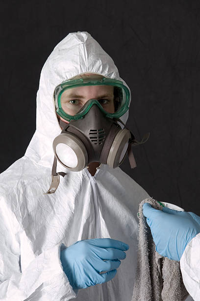 Best Biohazard Mold Removal  in Boerne, TX
